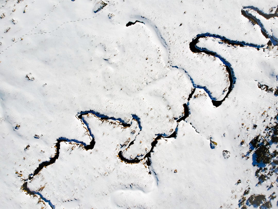 The Science Behind America's Snowiest States (image credits: unsplash)