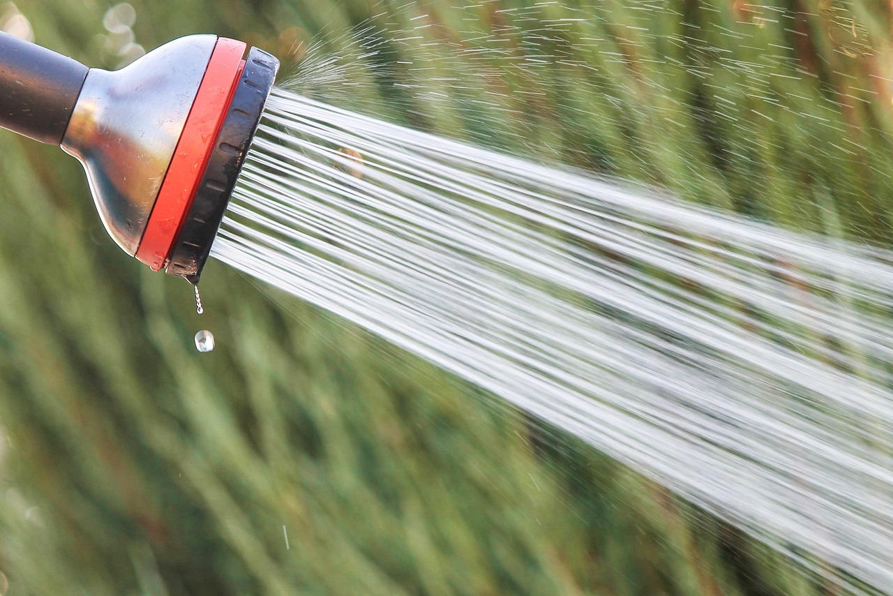 Take Shorter Showers and Feel the Difference (image credits: pixabay)