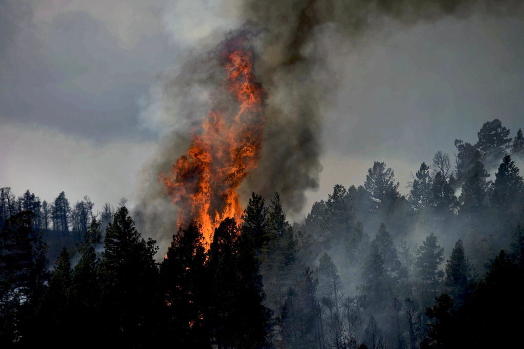 Economic Devastation - Tourism and Insurance Impacts (image credits: rawpixel)