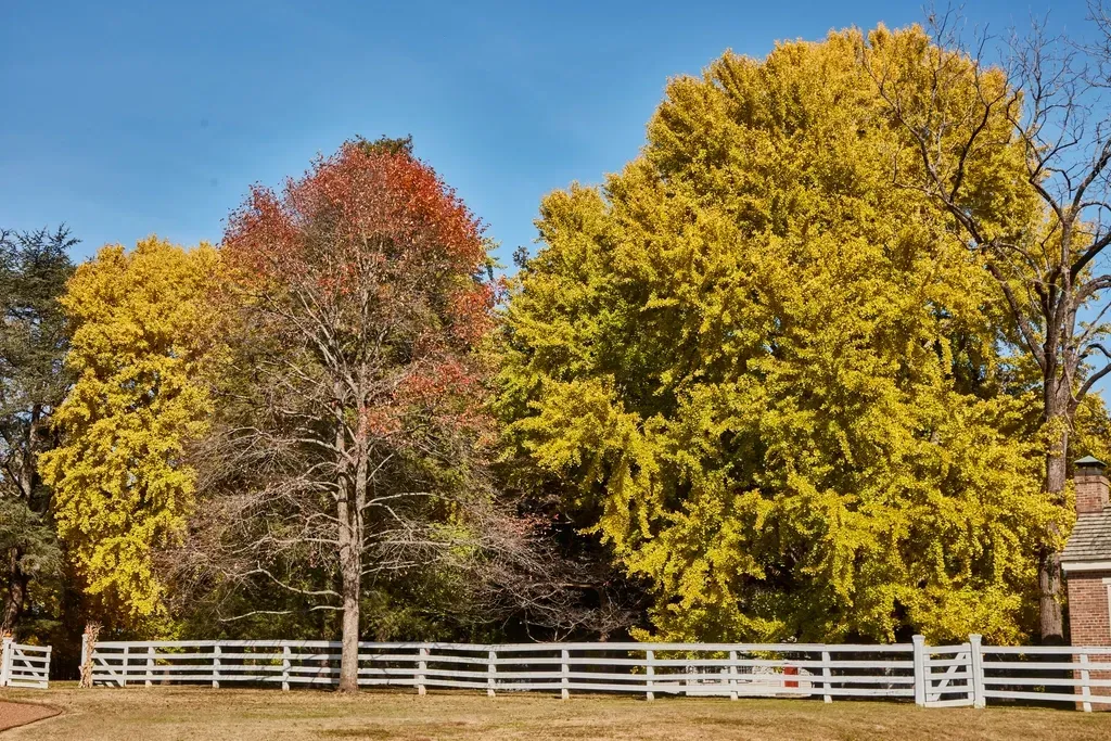 4. Nashville, Tennessee (Image Credits: Rawpixel)