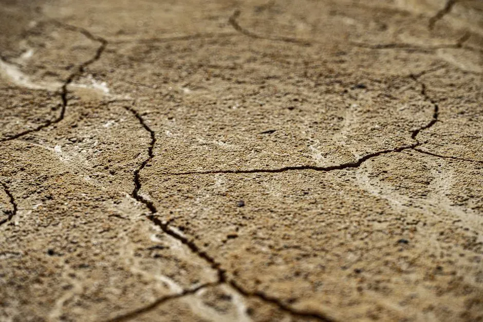 5. Has the ground itself been sinking, shifting, or settling over time (Image Credits: Pexels)