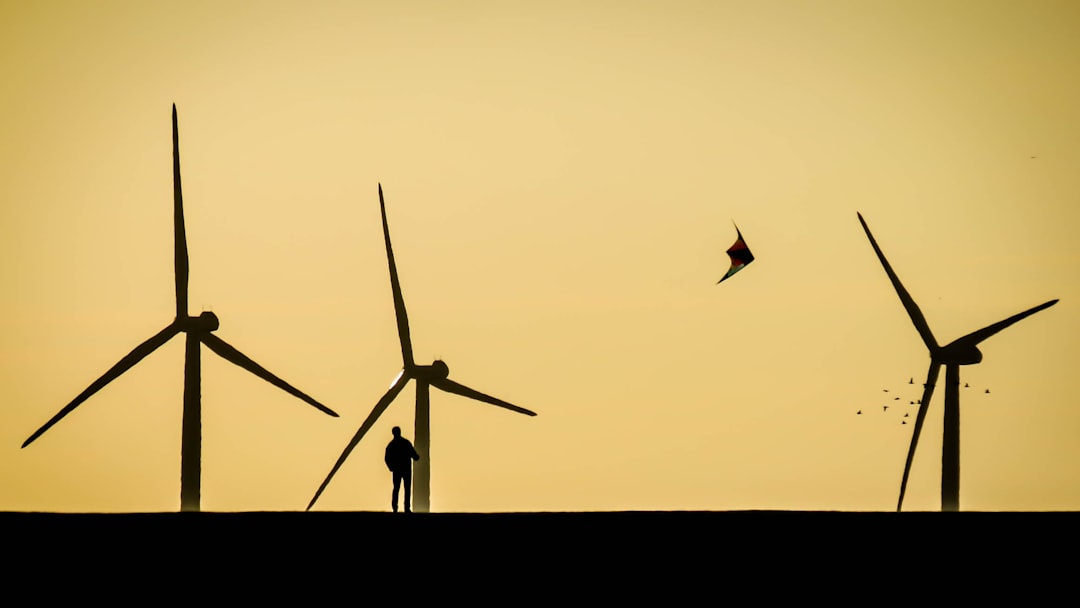 Wildlife Impact – Birds and Bats (image credits: unsplash)