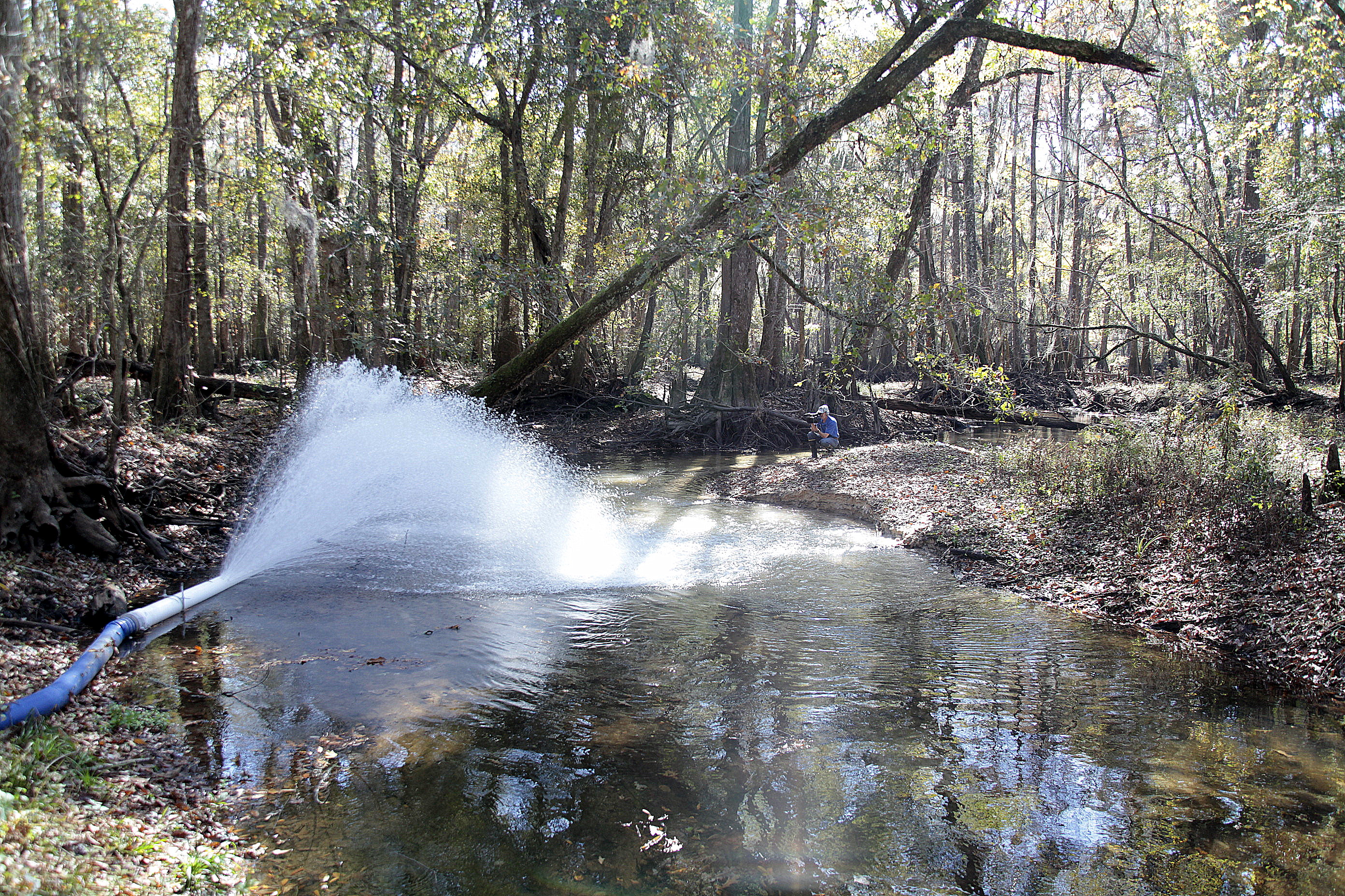 Texas Steps Up: Science and Solutions (image credits: wikimedia)