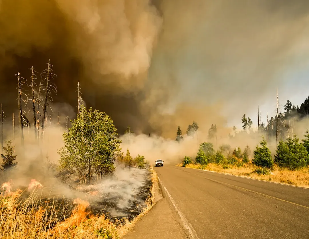 Washington and Idaho: wildfire risk moves north (Image Credits: Unsplash)