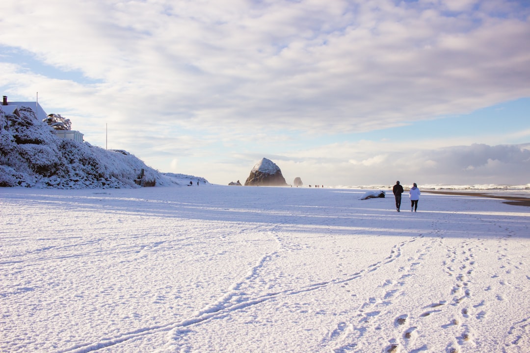 Canada's Blizzard Tourism in Churchill, Manitoba (image credits: unsplash)