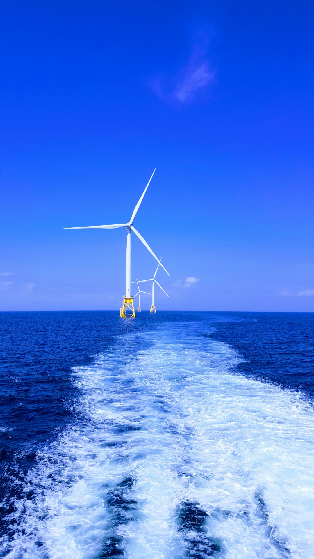 Addressing Environmental and Lifecycle Challenges (image credits: unsplash)