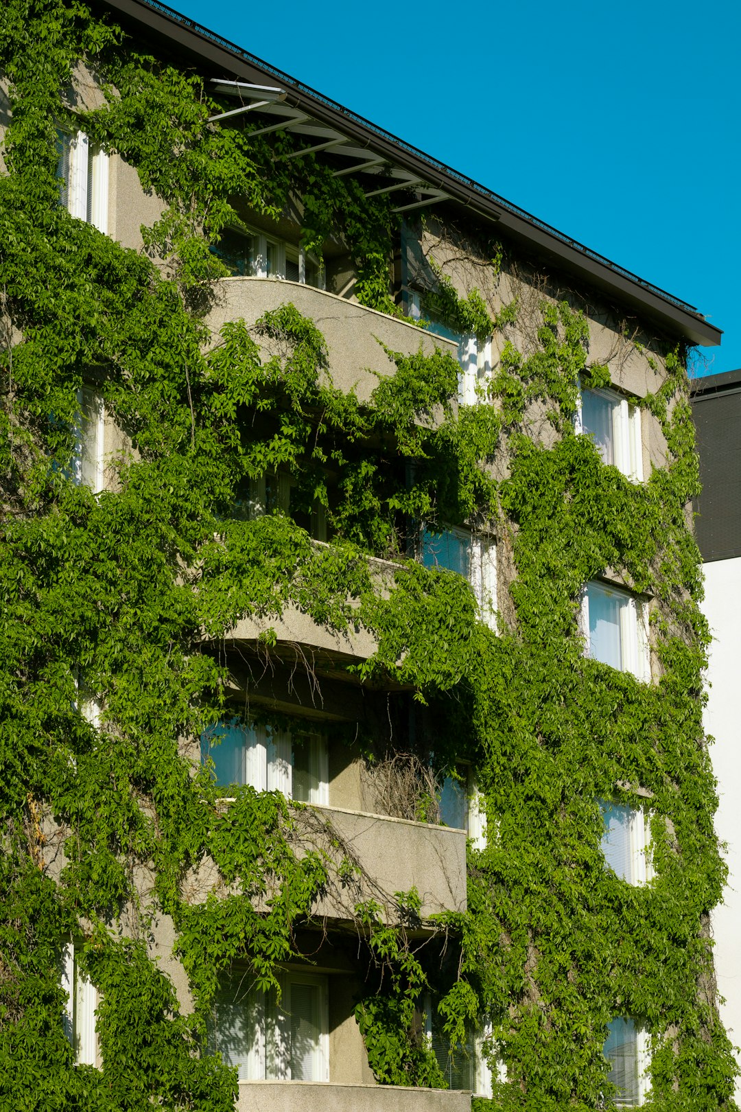 Zurich: Precision Engineering Meets Green Design (image credits: unsplash)