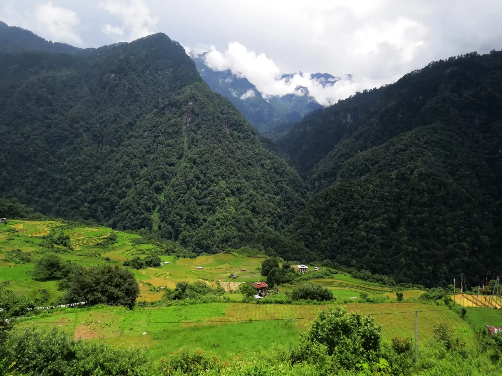 6. The Eastern Himalayas Rainforest (By A. J. T. Johnsingh, WWF-India and NCF, CC BY-SA 4.0)