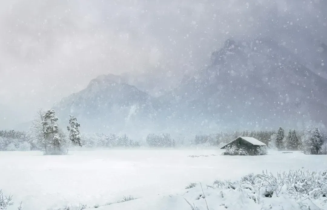 5. The "Bookend Winter" Theory Didn't Play Out Evenly (Image Credits: Unsplash)