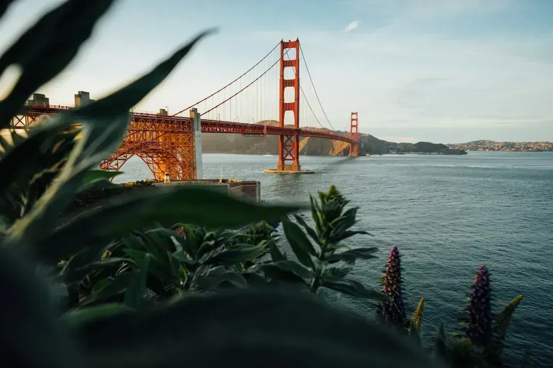 9. Alameda and San Francisco Bay Shoreline Communities (Image Credits: Unsplash)
