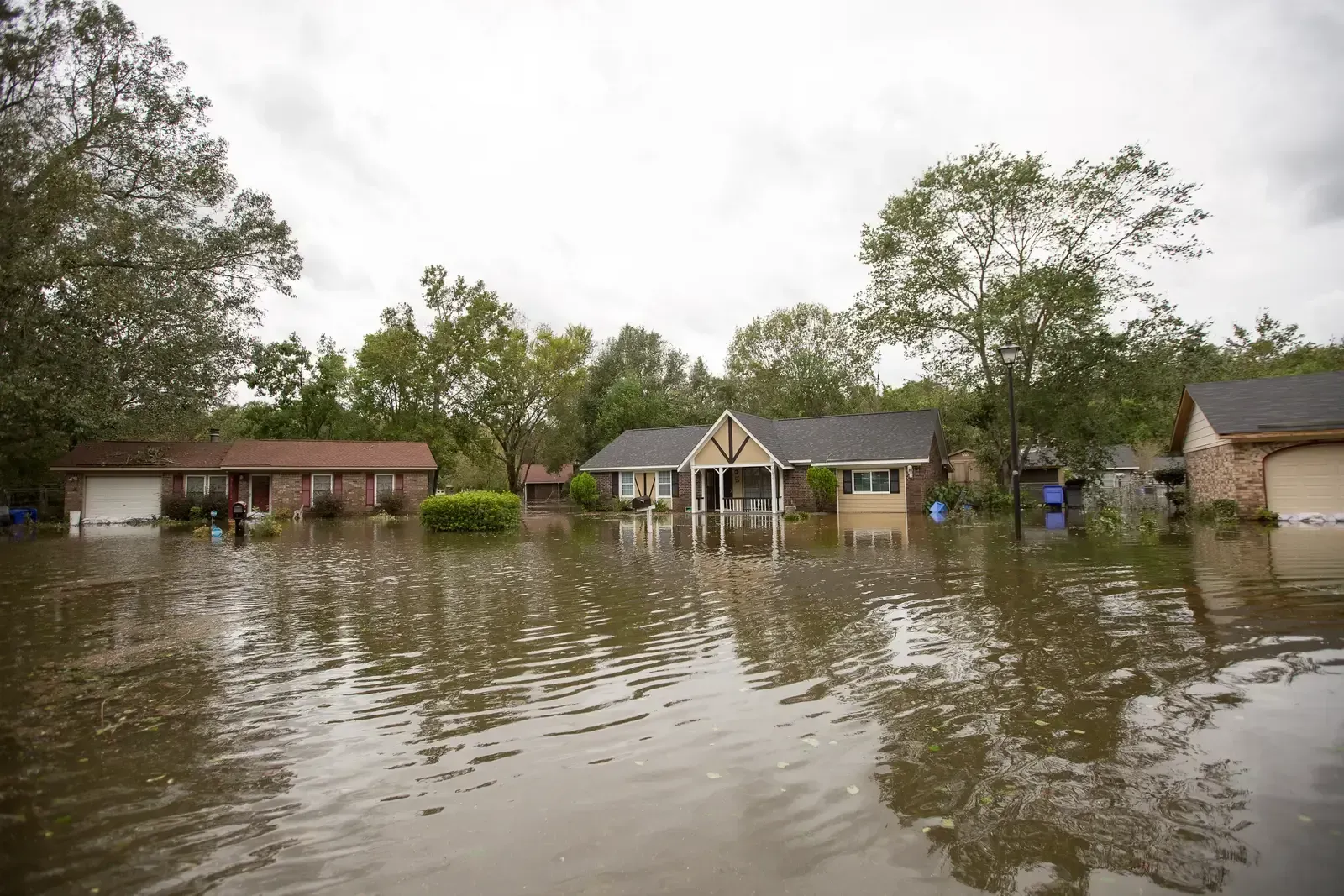 South Carolina faces rising exposure without the same haven narrative (Image Credits: By Ryan Johnson (City of Charleston), CC BY-SA 2.0)