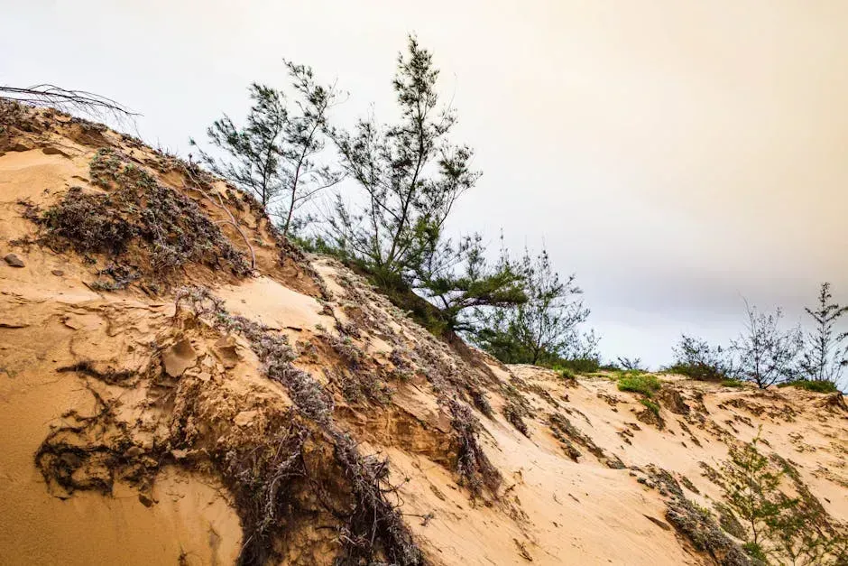 9. Arable Land and Topsoil for Agriculture: Running Out of Room to Grow (Image Credits: Pexels)
