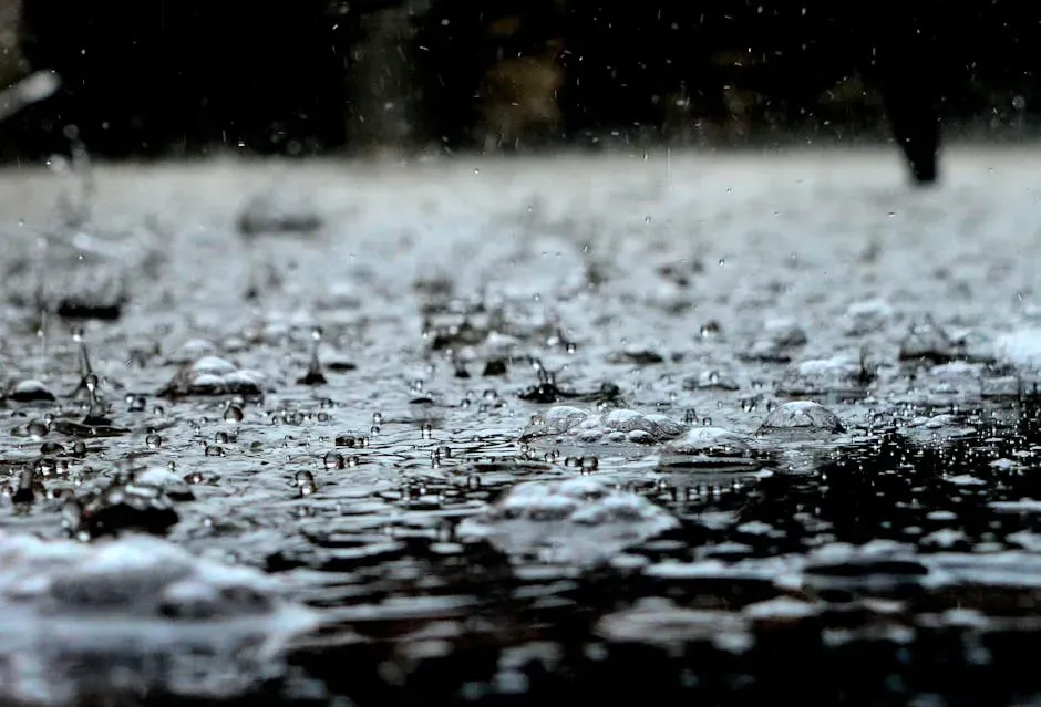4. Misunderstanding What "Probability of Rain" Actually Means (Image Credits: Pexels)