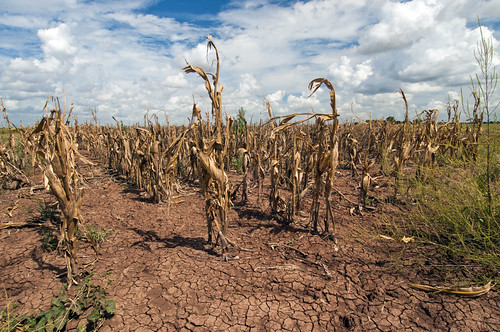Great Plains Face Summer 2025 Drought Expansion (image credits: wikimedia)