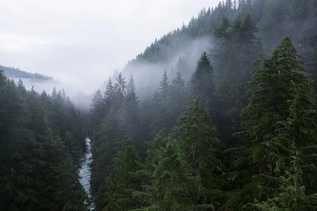 Pacific Northwest: the closest thing to a safe harbor (Image Credits: Unsplash)