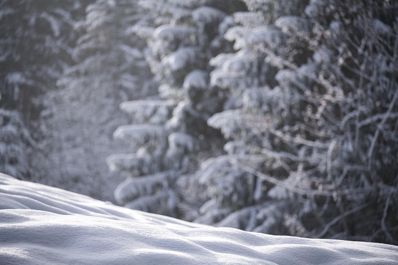 New Hampshire – The Granite State's White Blanket (image credits: pixabay)