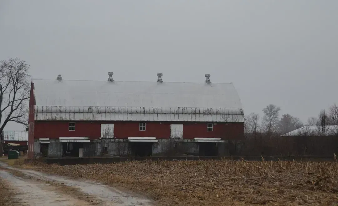 The Crisis Driving Farmers to Look Elsewhere (Image Credits: Unsplash)