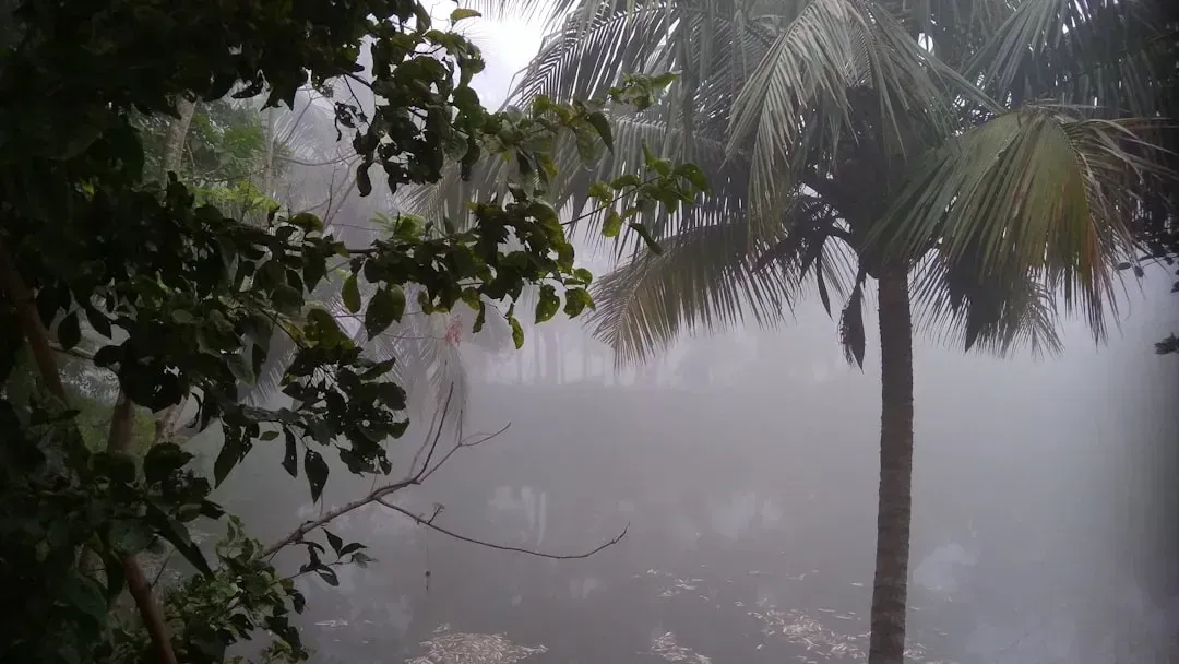 6. Abnormally High Atmospheric Humidity and Moisture Levels (Image Credits: Unsplash)