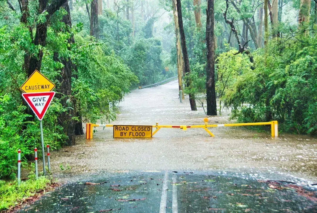 7. Reports of flooding or rising water from nearby areas (Image Credits: Unsplash)