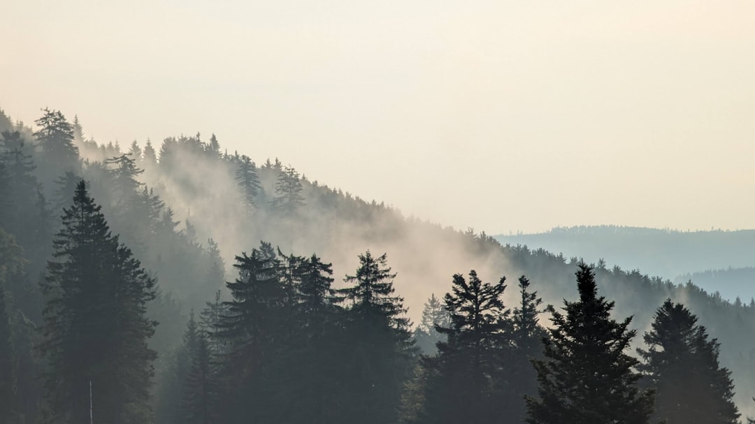 Regional Temperature Anomalies Persist For Months (image credits: unsplash)