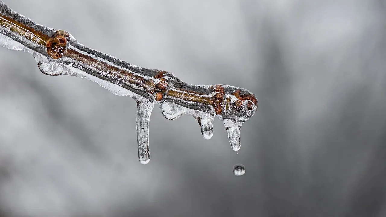 The Water Supply Consequences Are Already Visible (Image Credits: Pixabay)