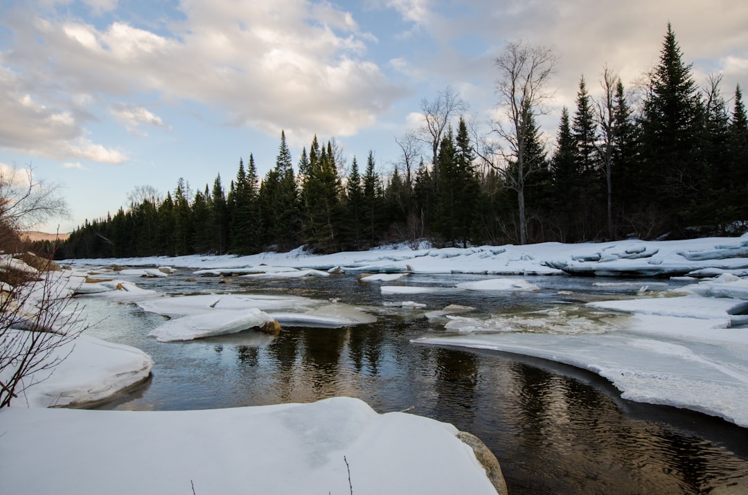 Maine – The Pine Tree State's Winter Wonderland (image credits: unsplash)