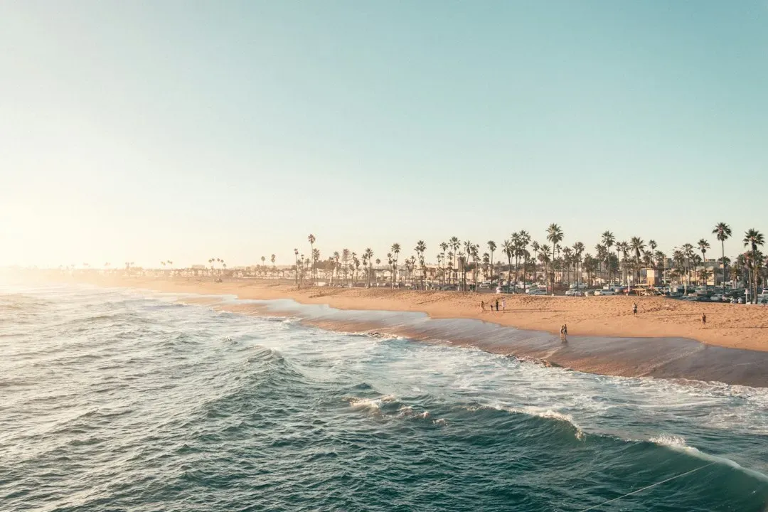 1. California (Image Credits: Unsplash)