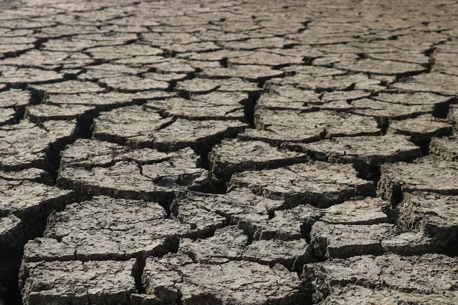 The Bigger Picture: A Nation Under Water Pressure (Image Credits: Pexels)