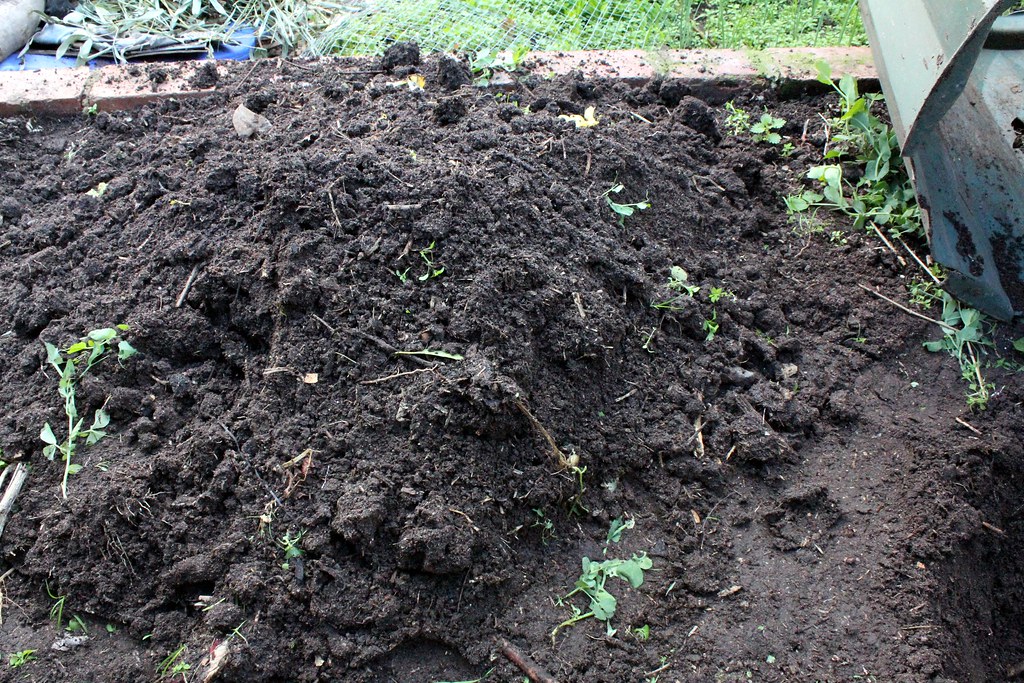 Soil Health: The Unsung Hero of Home Composting (image credits: flickr)