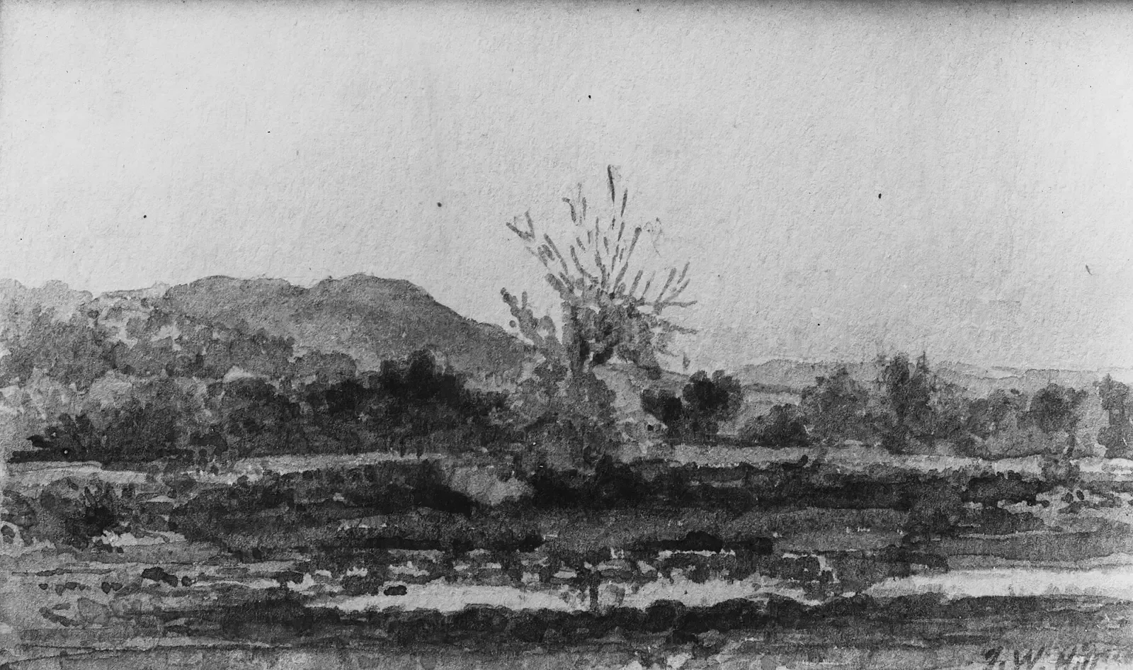 5. New Haven, Connecticut (1870s - Present) (Image Credits: This file was donated to Wikimedia Commons as part of a project by the Metropolitan Museum of Art. See the Image and Data Resources Open Access Policy, CC0)