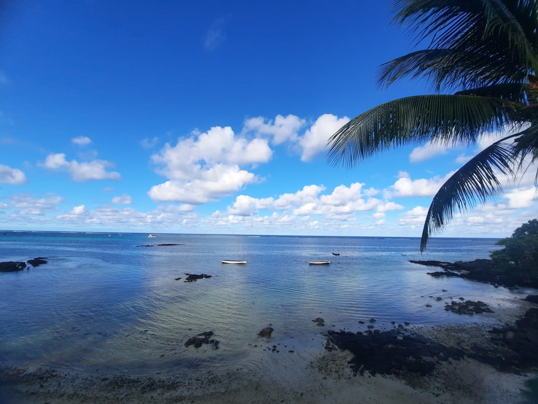What Makes This Visa So Different (image credits: unsplash)