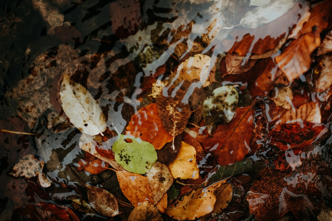 Northeast States Leading Policy Innovation (image credits: unsplash)