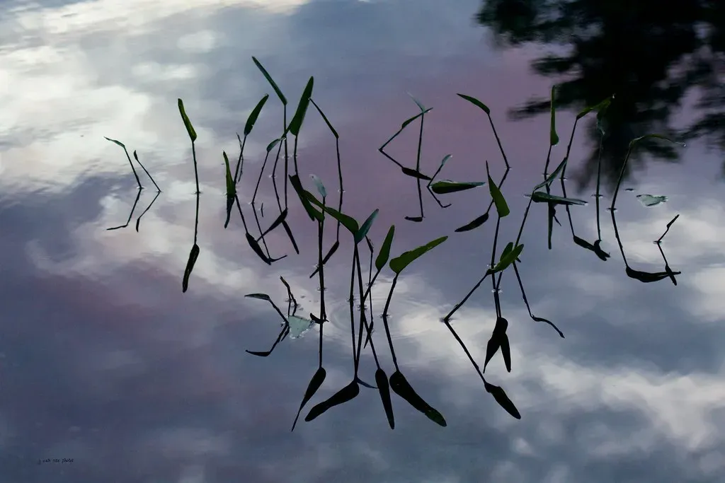 2. Sudden, Eerie Calm After Stormy Conditions (j van cise photos, Flickr, CC BY 2.0)