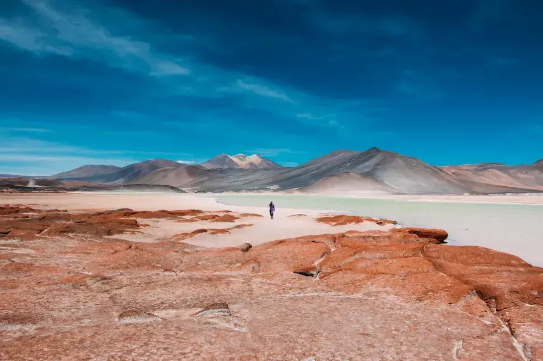 Atacama Desert, Chile (Image Credits: Unsplash)