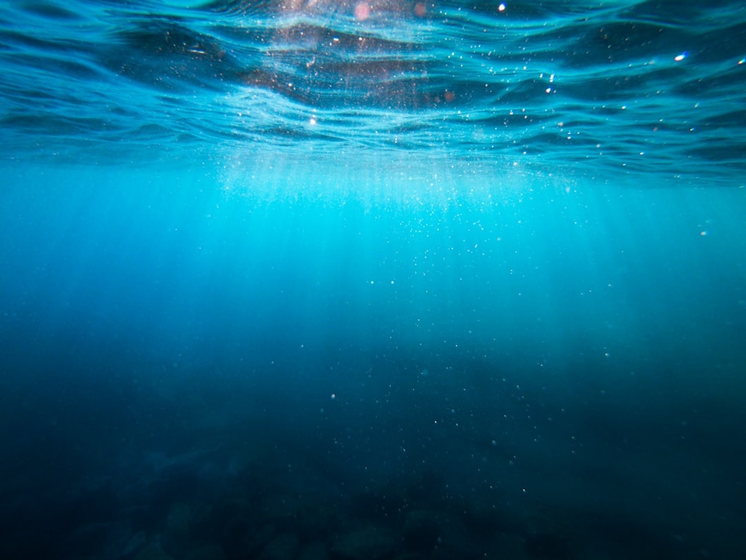 Deep Pacific Plate Movement Near Tonga (image credits: unsplash)