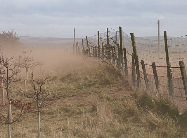 Climate Change Intensifies Agricultural Soil Loss (image credits: wikimedia)