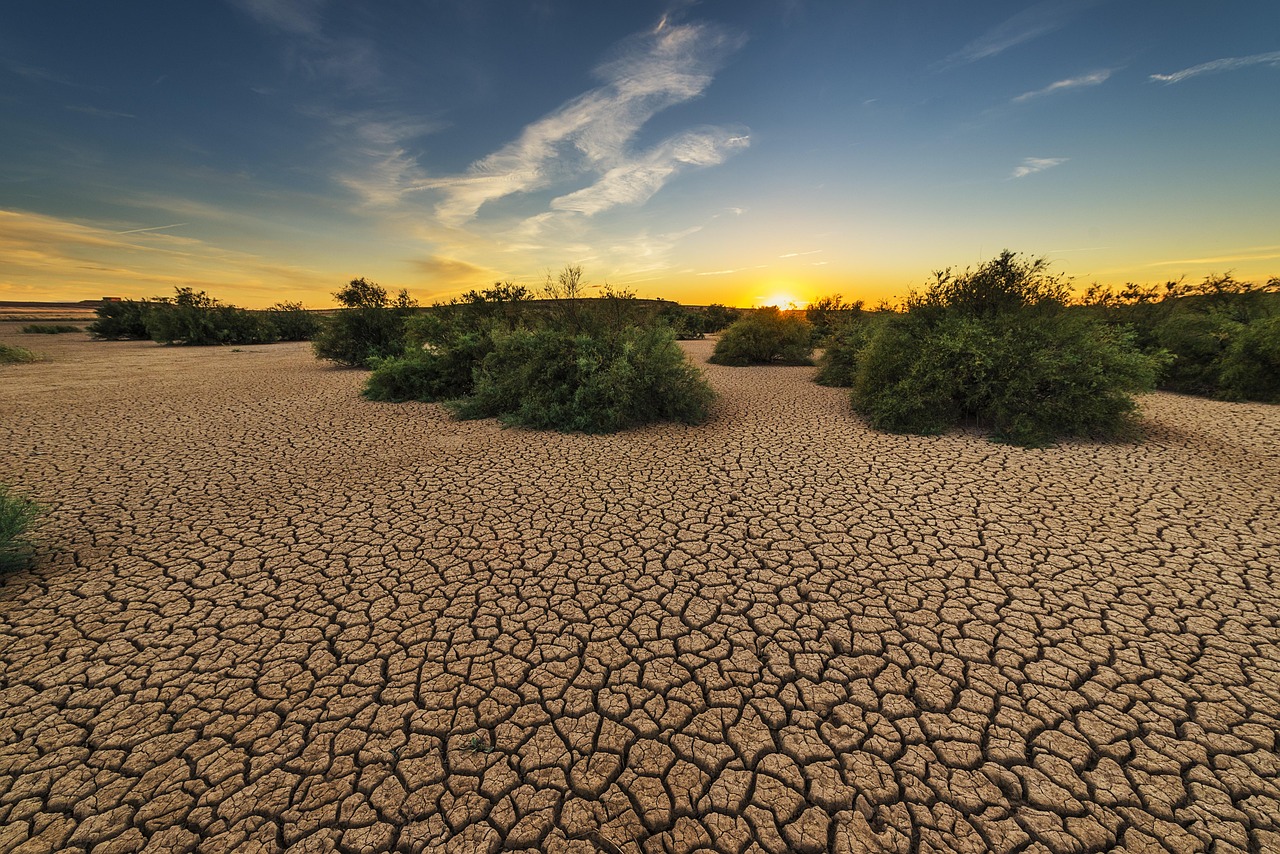 Soil Requirements and Landscape Ordinances (image credits: pixabay)