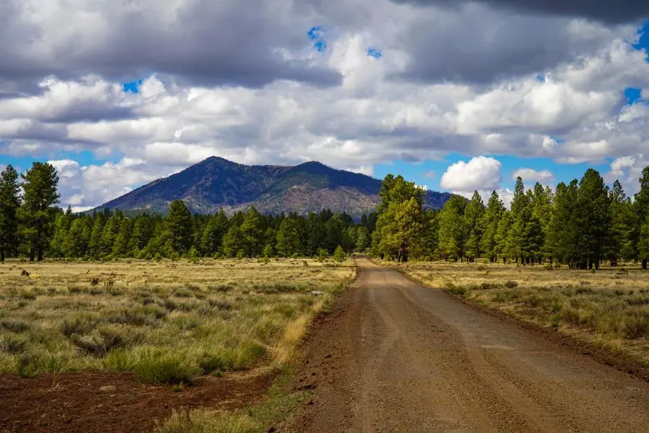 Flagstaff, Arizona (Image Credits: Pexels)