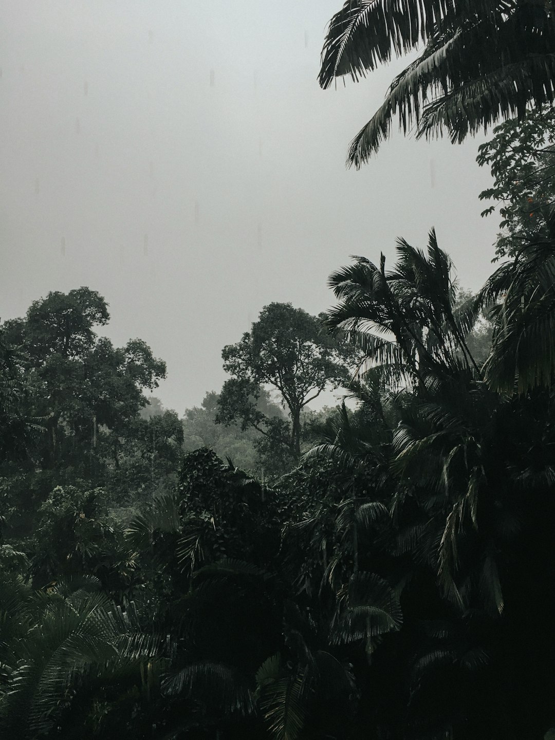 Atmospheric Mechanisms Drive Extreme Weather (image credits: unsplash)