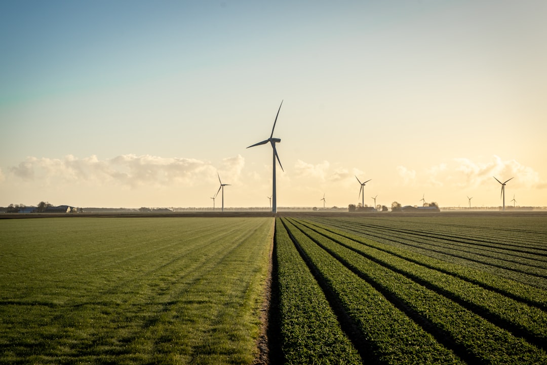 The Bigger Picture: Clean Energy and Climate Goals at Risk (image credits: unsplash)