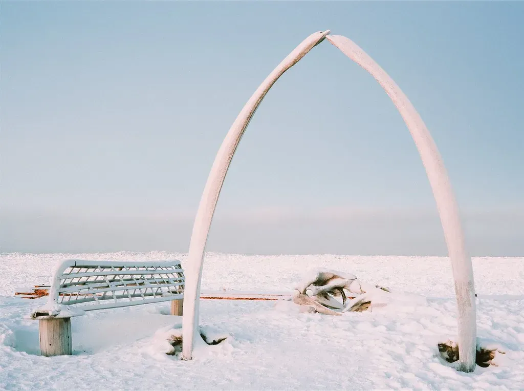 Utqiagvik, Alaska (warrenmck, Flickr, CC BY-SA 2.0)
