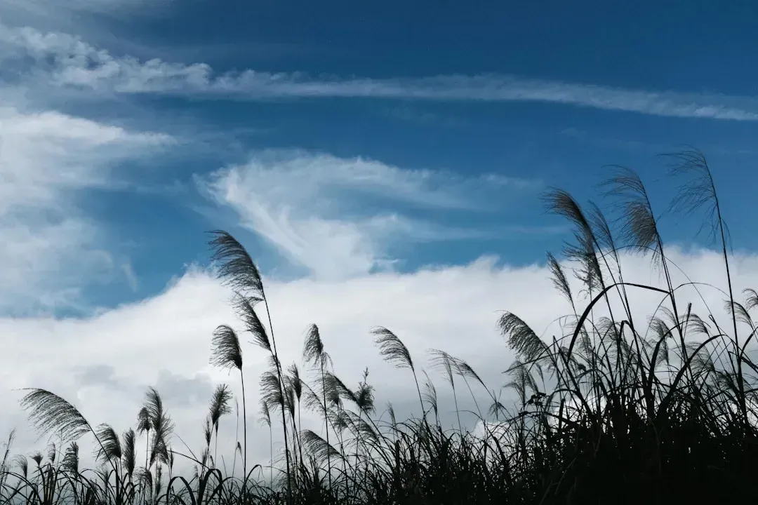 4. Low Wind Shear in the Upper Atmosphere (Image Credits: Unsplash)