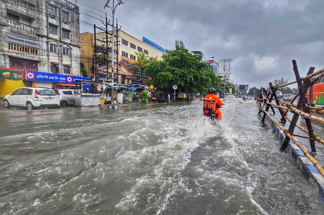 Documentaries Drive Awareness and Action (image credits: unsplash)