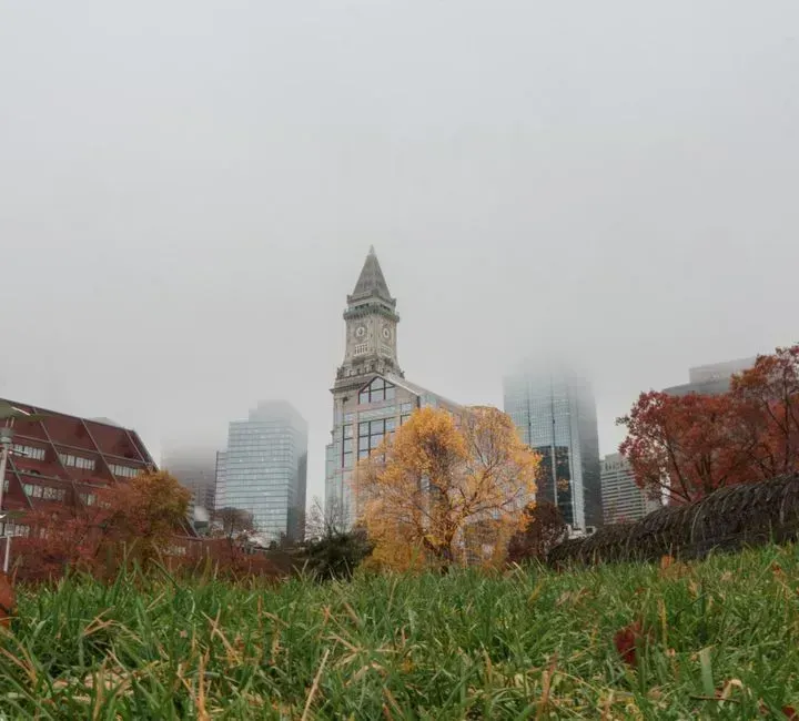 Why Boston Harbor doesn't come close (Image Credits: Pexels)