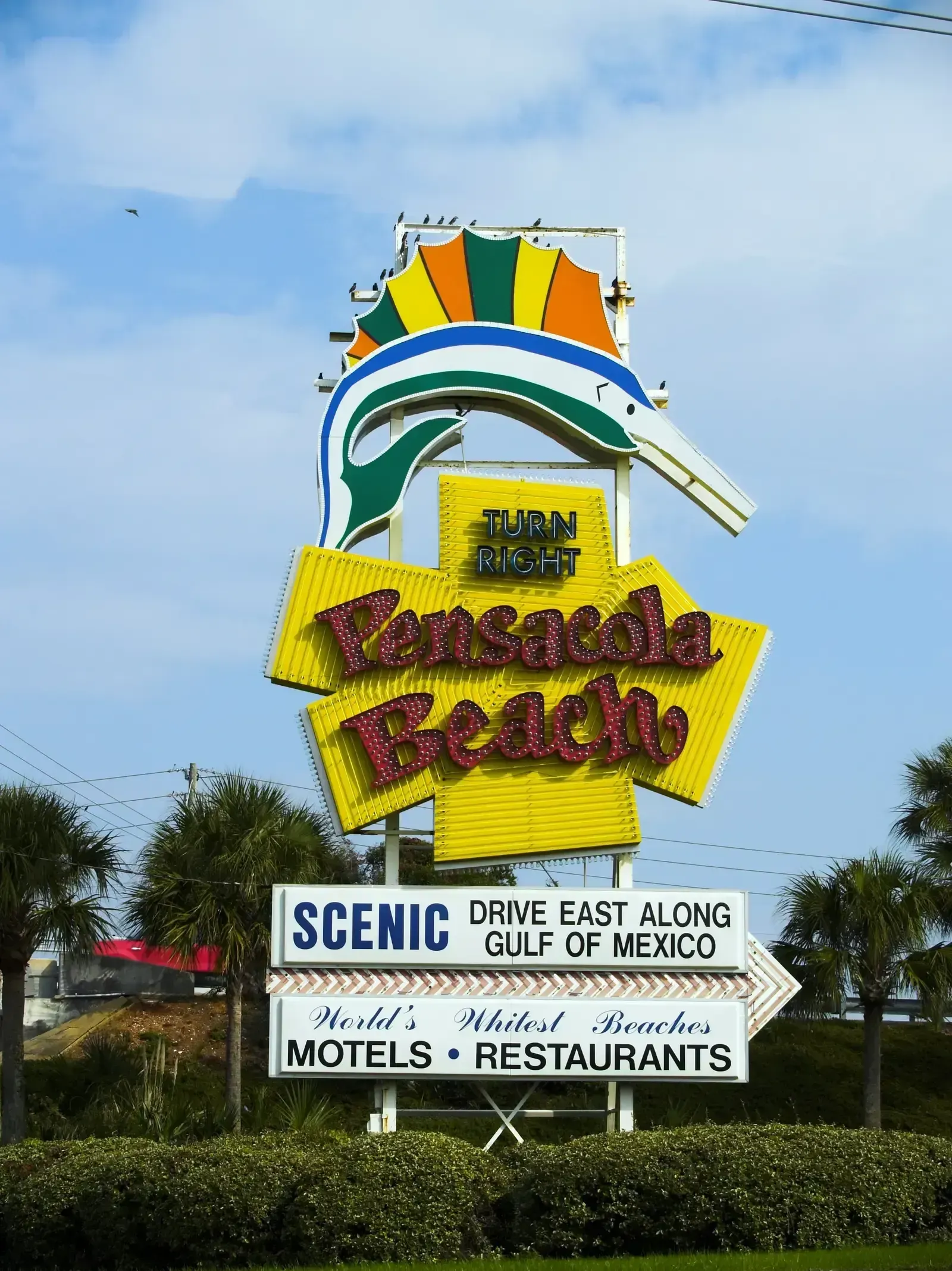 Pensacola and the Florida Panhandle round out the leaderboard (By TimothyJ, CC BY 2.0)