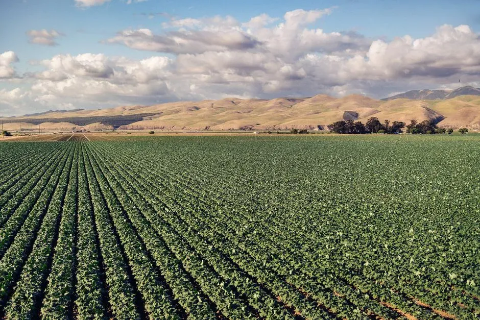 Individual subbasins offer a preview of valley-wide change (Image Credits: Pexels)