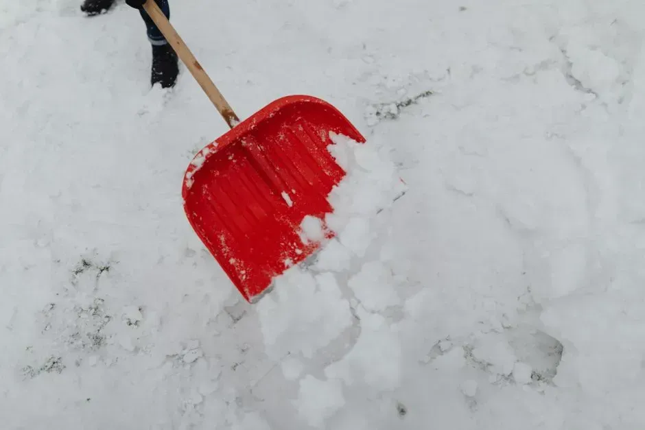 9. Small shovel (Image Credits: Pexels)