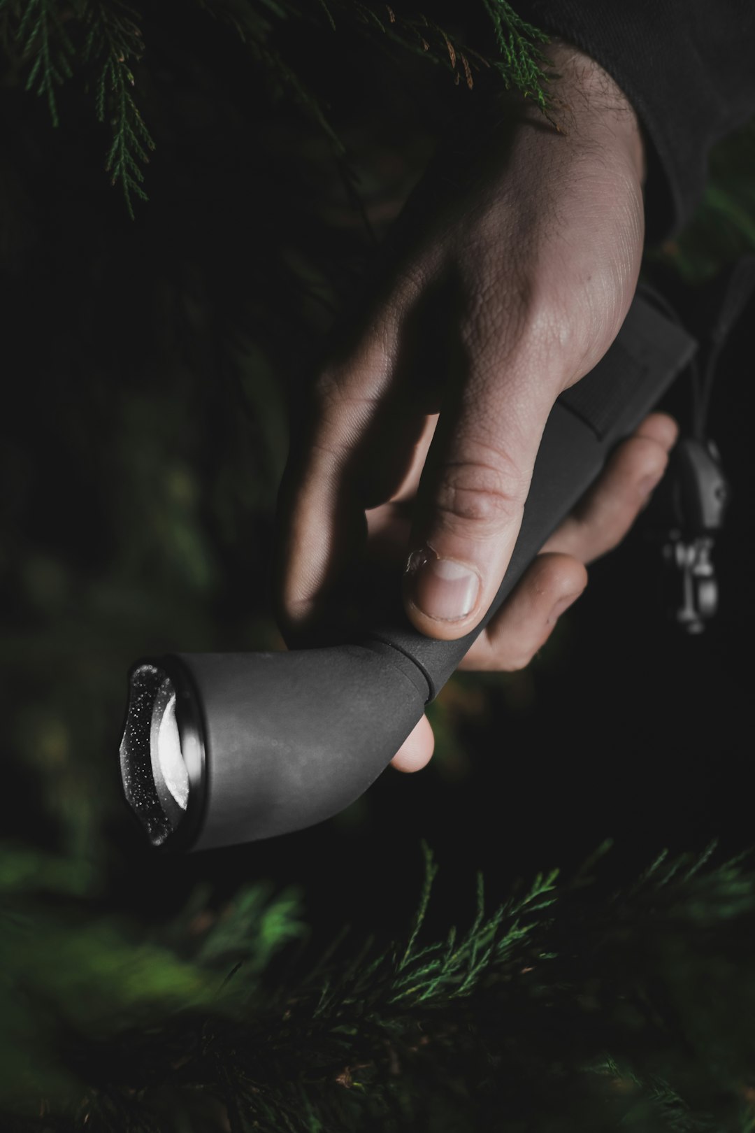 Hand-Crank Flashlight: Light That Never Dies (image credits: unsplash)
