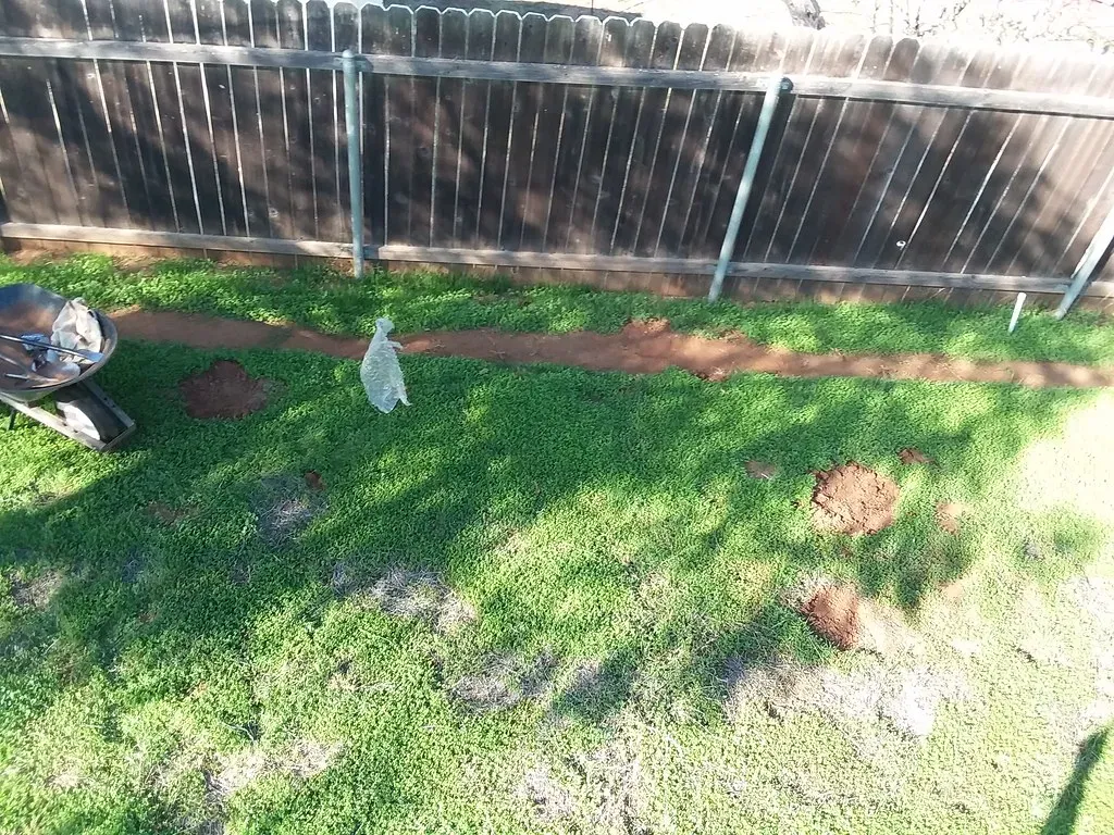 2. Sinkholes or Depressions Forming in Your Yard (el cajon yacht club, Flickr, CC BY 2.0)