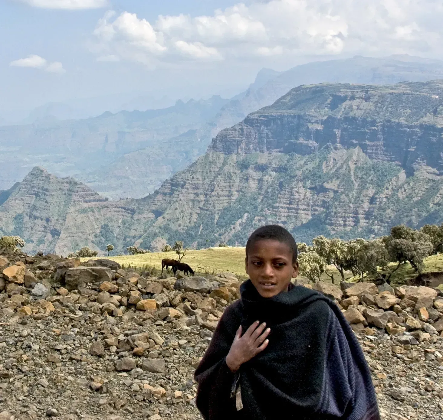 Ethiopia: Livestock Rich, Meat Poor (Herder, Simien Mountains, Ethiopia

Uploaded by Elitre, CC BY 2.0)